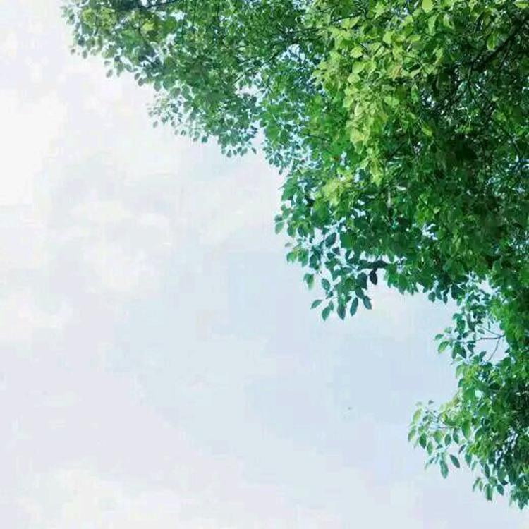 落合扶树（饰 水岛） - 怀旧港剧全集在线观看 - 云端观影